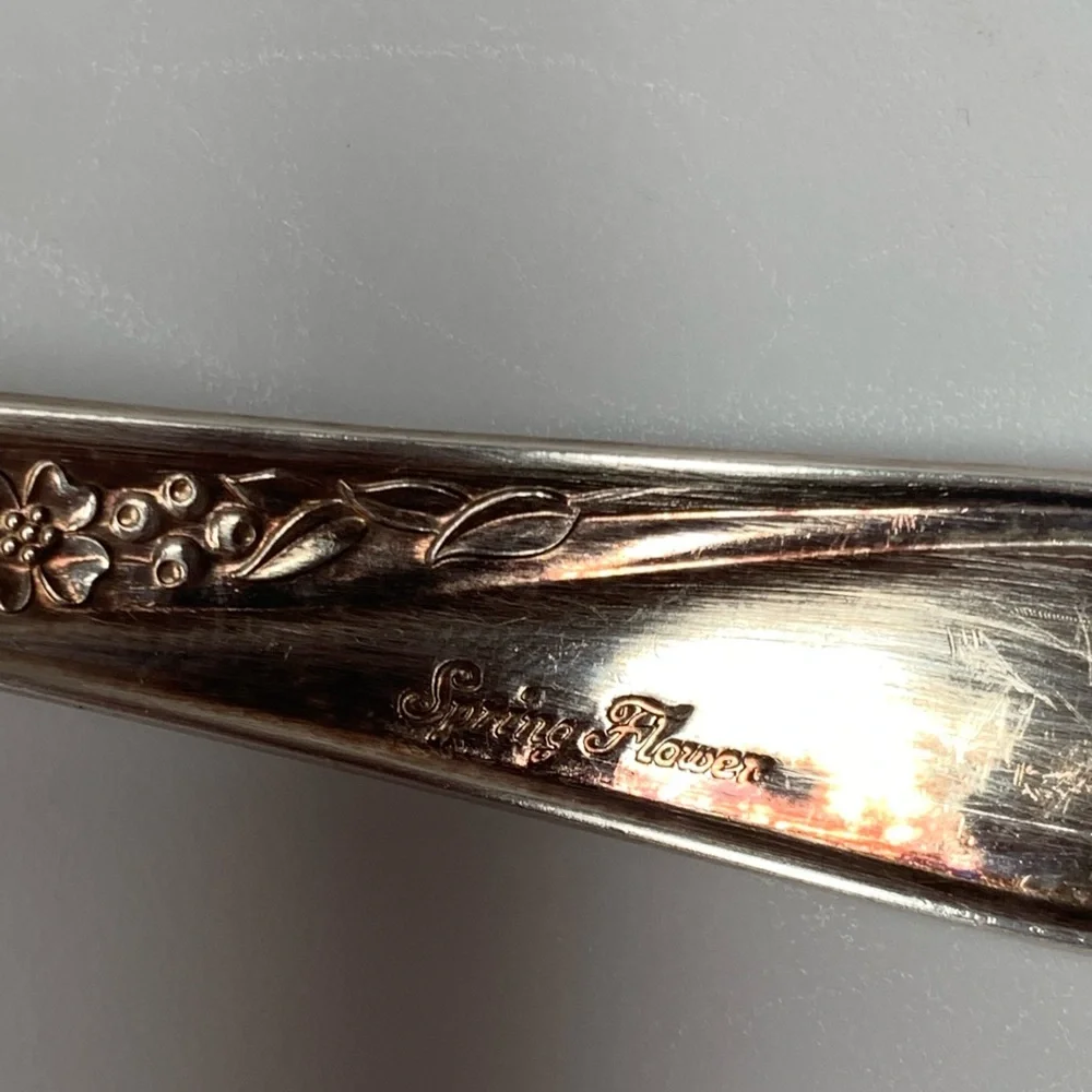 Wm Rogers & Son Spring Flower cake/pie server